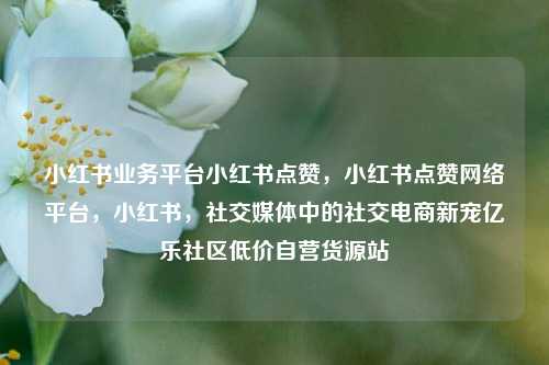 小红书业务平台小红书点赞，小红书点赞网络平台，小红书	，社交媒体中的社交电商新宠亿乐社区低价自营货源站  第1张