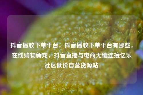 抖音播放下单平台，抖音播放下单平台有哪些，在线购物新宠	，抖音直播与电商无缝连接亿乐社区低价自营货源站  第1张