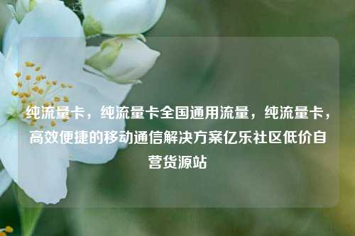 纯流量卡，纯流量卡全国通用流量，纯流量卡，高效便捷的移动通信解决方案亿乐社区低价自营货源站  第1张